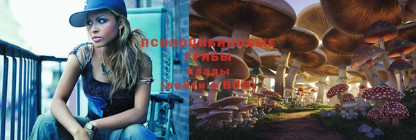 СК Богданович