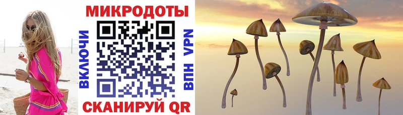 что такое   Якутск  Псилоцибиновые грибы мухоморы 