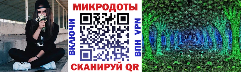 Галлюциногенные грибы Psilocybe Якутск